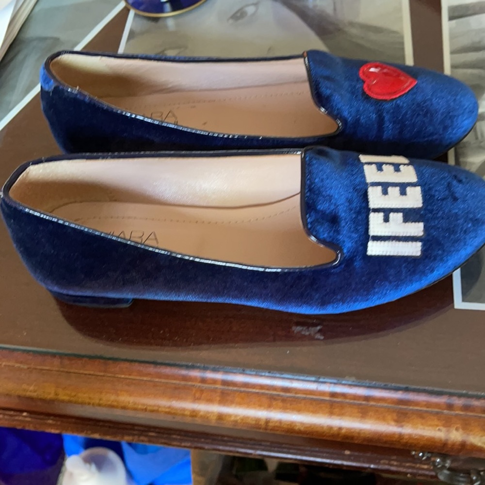 Chiara FERRAGNI blue velvet Designer shoe. - Picture 2 of 8